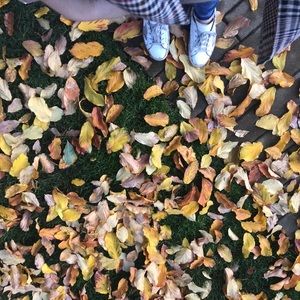 Meet your Posher, Jamylle